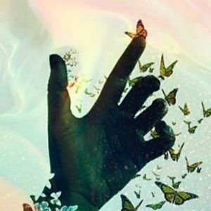 Meet your Posher, Morgan